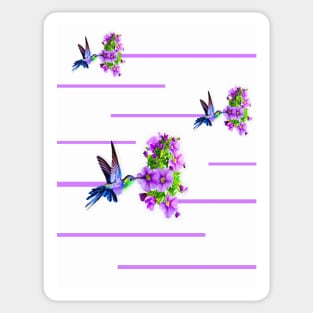 Hummingbirds and purples flowers on white Sticker